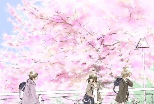 深入了解 女士中医养生精油Spa受不了